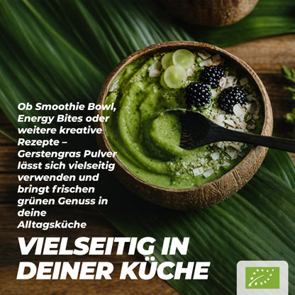 Naturacereal Bio Gerstengraspulver aus kontrolliertem Bio-Anbau