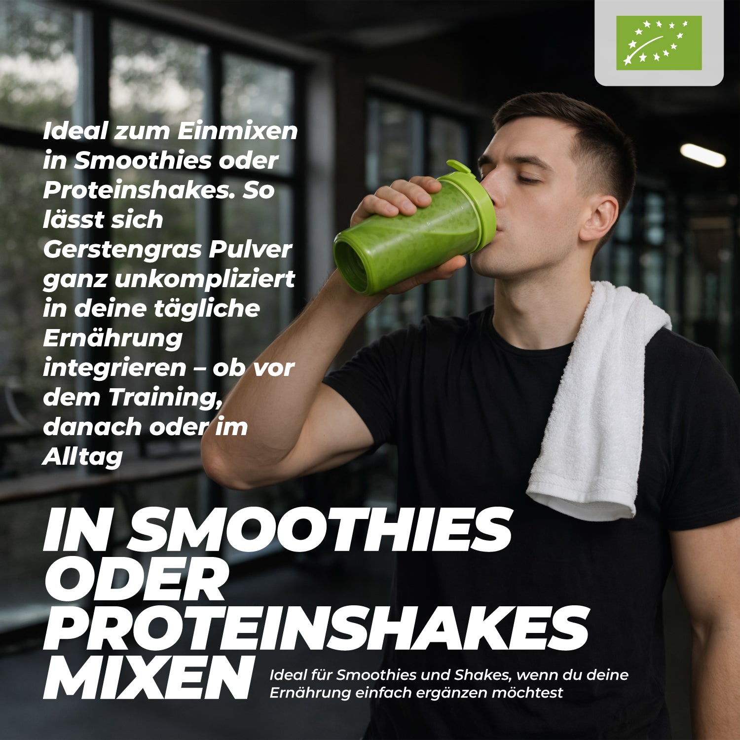 Bio Gerstengraspulver Nährwerte – Chlorophyll, Vitamine und Vitalstoffe
