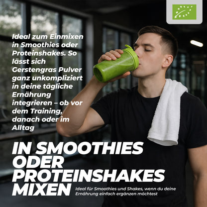 Bio Gerstengraspulver Nährwerte – Chlorophyll, Vitamine und Vitalstoffe