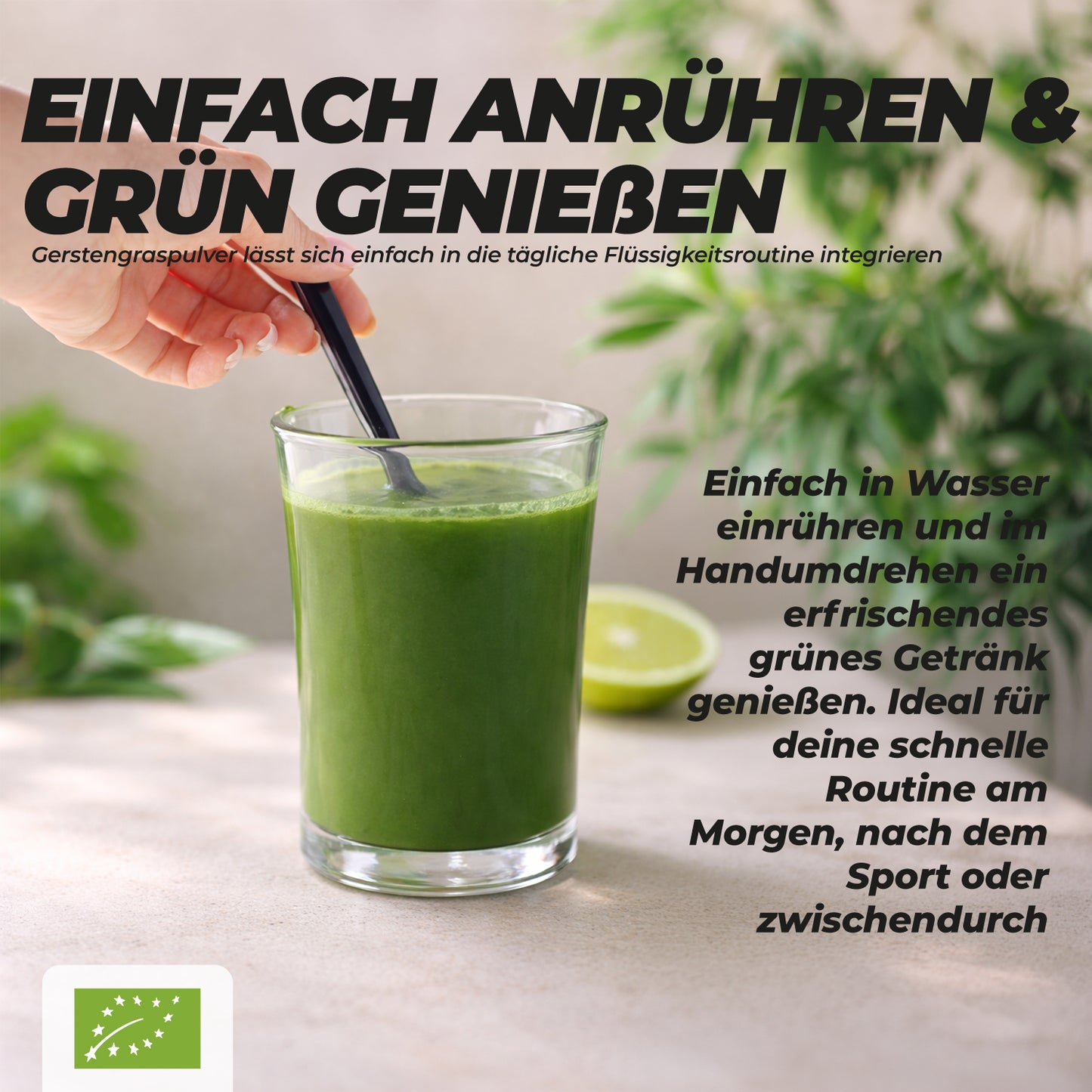 Bio Gerstengraspulver Anwendung in Smoothies, Säften und Wasser