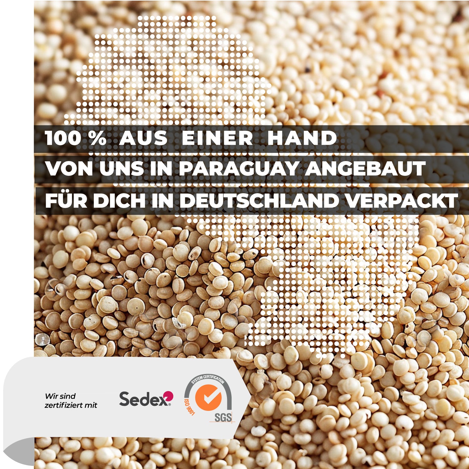 Weißes Quinoa in Nahaufnahme – glutenfreies Pseudogetreide
