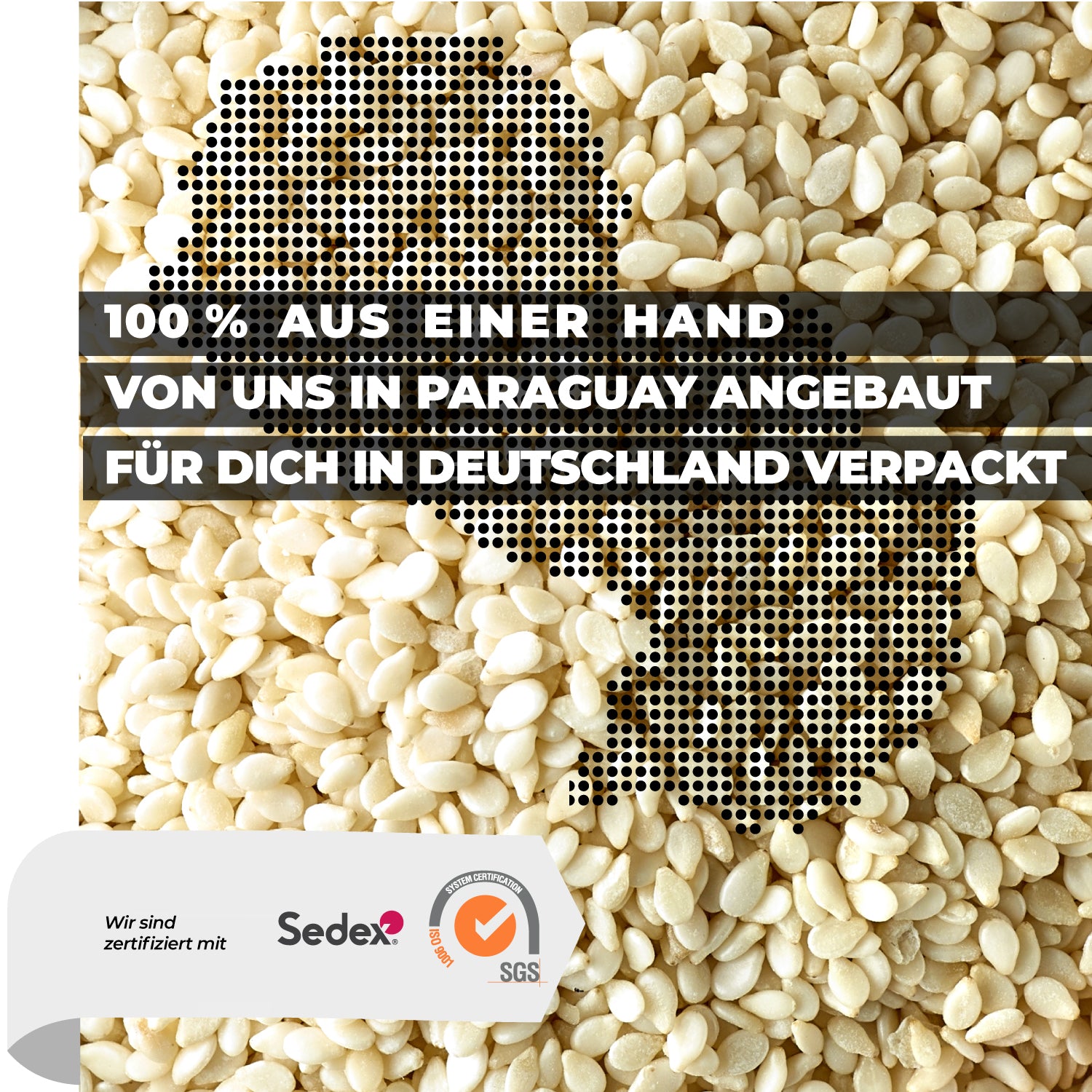 Weiße Sesamkörner in Nahaufnahme – naturbelassener Sesam